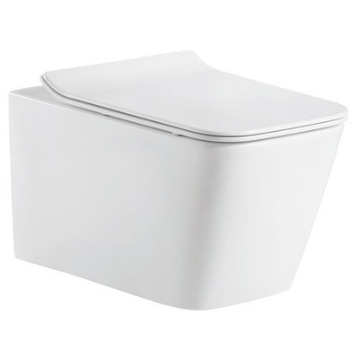  Delice France Nicole Suspendu (,  1)