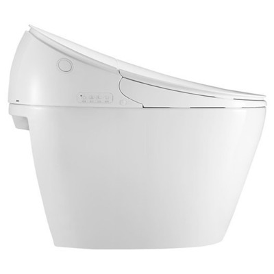 Унитаз-биде Orans IT-808JD (вид 1) Унитаз-биде Orans IT-808JD (фото, вид 1)