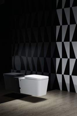 Подвесной унитаз Cerutti SPA C-370C (вид 1) Подвесной унитаз Cerutti SPA C-370C (фото, вид 1)