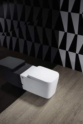 Подвесной унитаз Cerutti SPA C-370C (вид 2) Подвесной унитаз Cerutti SPA C-370C (фото, вид 2)