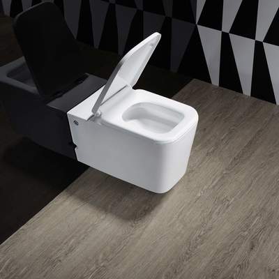 Подвесной унитаз Cerutti SPA C-370C (вид 3) Подвесной унитаз Cerutti SPA C-370C (фото, вид 3)