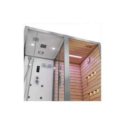   21 Ceruttispa ALBANO-R White (,  3)