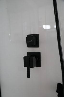 VIVA101B (100x100x215)     ,    6 mm.,  5 mm,   . Ceruttispa (,  3)