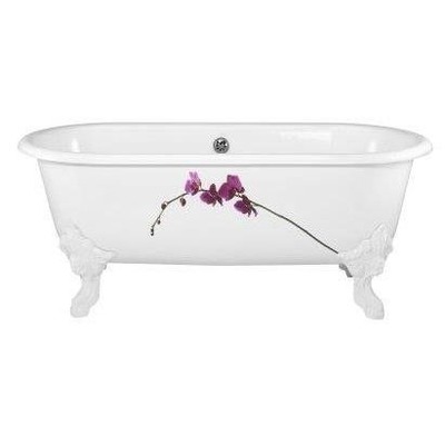  Jacob Delafon Cleo E2942 (,  1)