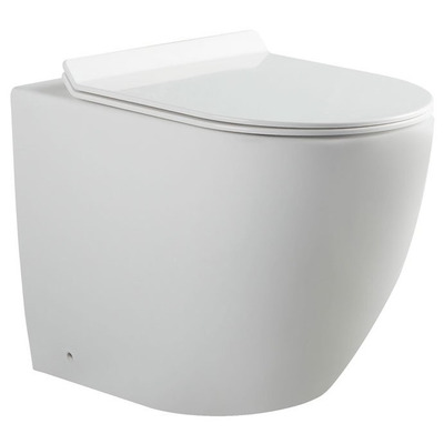 Унитаз Aquanet Cetus BL-102N-FST Унитаз Aquanet Cetus BL-102N-FST (фото)