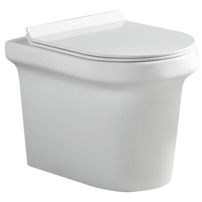 Унитаз Aquanet Nova BL-101N-FST Унитаз Aquanet Nova BL-101N-FST (фото)