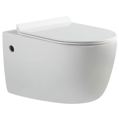 Унитаз Aquanet Cetus BL-102N-WHT Унитаз Aquanet Cetus BL-102N-WHT (фото)