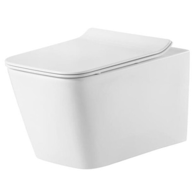  Delice France Nicole Suspendu ()