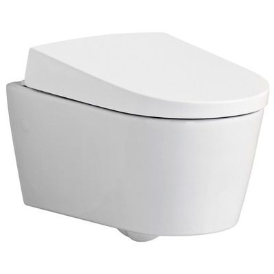 - GEBERIT AquaClean Sela 146.145.11.1 ()