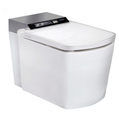 Унитаз-биде Orans IT-803JAD Унитаз-биде Orans IT-803JAD (фото)