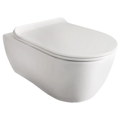 Унитаз SSWW NC2038 Унитаз SSWW NC2038 (фото)