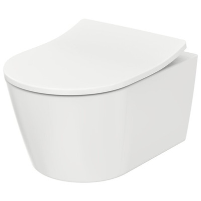  TOTO RP CW552Y+TC513F ()