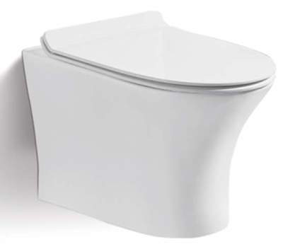 Подвесной безободковый унитаз Cerutti SPA 2617E Подвесной безободковый унитаз Cerutti SPA 2617E (фото)