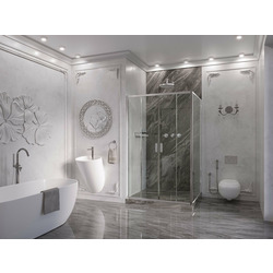   Ambassador Forsa 100AX (1000x2000), 1 