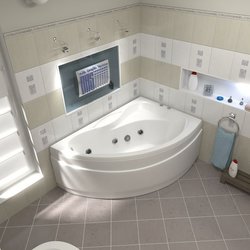  BAS  . 1500900 .(,- /,)